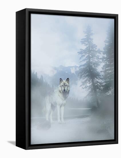 White Mist 2-Gordon Semmens-Framed Stretched Canvas