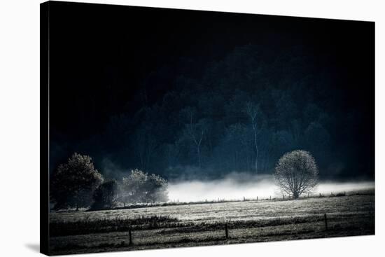 White Mist-Philippe Sainte-Laudy-Stretched Canvas