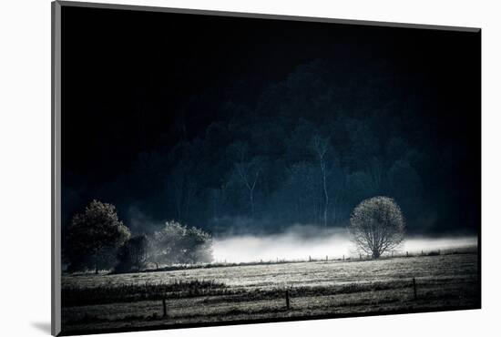 White Mist-Philippe Sainte-Laudy-Mounted Photographic Print