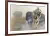 White Mist-Gordon Semmens-Framed Giclee Print