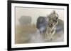 White Mist-Gordon Semmens-Framed Giclee Print