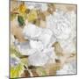 White Modern Peonies II-Lanie Loreth-Mounted Art Print