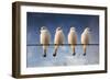 White Monjita-Chechi Peinado-Framed Giclee Print