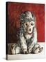 White Monkey on Red, 2006,-Peter Jones-Stretched Canvas