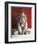 White Monkey on Red, 2006,-Peter Jones-Framed Giclee Print