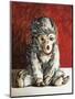 White Monkey on Red, 2006,-Peter Jones-Mounted Giclee Print