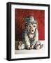 White Monkey on Red, 2006,-Peter Jones-Framed Giclee Print