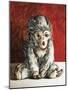 White Monkey on Red, 2006,-Peter Jones-Mounted Giclee Print