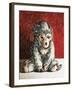 White Monkey on Red, 2006,-Peter Jones-Framed Giclee Print