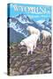 White Mountain Goat Family - Wyoming-Lantern Press-Stretched Canvas