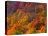 White Mountain National Park, New Hampshire, USA-Alan Copson-Stretched Canvas