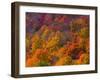 White Mountain National Park, New Hampshire, USA-Alan Copson-Framed Photographic Print