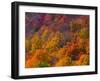 White Mountain National Park, New Hampshire, USA-Alan Copson-Framed Photographic Print