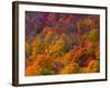 White Mountain National Park, New Hampshire, USA-Alan Copson-Framed Photographic Print