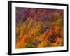 White Mountain National Park, New Hampshire, USA-Alan Copson-Framed Photographic Print