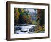 White Mountains National Forest, Near Jackson, New Hampshire, USA-Fraser Hall-Framed Photographic Print