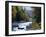 White Mountains National Forest, Near Jackson, New Hampshire, USA-Fraser Hall-Framed Photographic Print