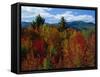 White Mountains National Forest, New Hampshire, New England, USA-Fraser Hall-Framed Stretched Canvas