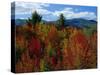 White Mountains National Forest, New Hampshire, New England, USA-Fraser Hall-Stretched Canvas