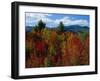 White Mountains National Forest, New Hampshire, New England, USA-Fraser Hall-Framed Photographic Print