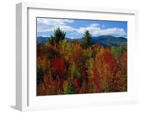 White Mountains National Forest, New Hampshire, New England, USA-Fraser Hall-Framed Photographic Print