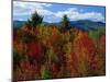 White Mountains National Forest, New Hampshire, New England, USA-Fraser Hall-Mounted Photographic Print