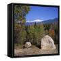 White Mountains National Forest, New Hampshire, New England, USA-Roy Rainford-Framed Stretched Canvas