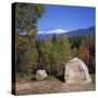 White Mountains National Forest, New Hampshire, New England, USA-Roy Rainford-Stretched Canvas