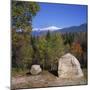 White Mountains National Forest, New Hampshire, New England, USA-Roy Rainford-Mounted Photographic Print