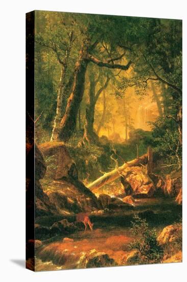 White Mountains, New Hampshire-Albert Bierstadt-Stretched Canvas