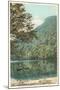 White Mountains, New Hampshire-null-Mounted Art Print