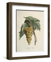 White Muscat Grapes-Pierre Jean Francois Turpin-Framed Giclee Print