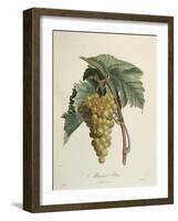 White Muscat Grapes-Pierre Jean Francois Turpin-Framed Giclee Print