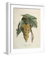 White Muscat Grapes-Pierre Jean Francois Turpin-Framed Giclee Print