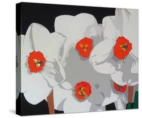 White Narcissus-Susan Porter-Stretched Canvas