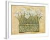 White Narcissus-Eva Misa-Framed Art Print