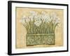 White Narcissus-Eva Misa-Framed Art Print