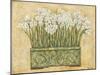 White Narcissus-Eva Misa-Mounted Art Print