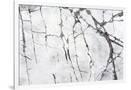 Gramercy White