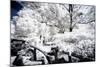 White Nature - In the Style of Oil Painting-Philippe Hugonnard-Mounted Giclee Print
