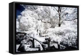 White Nature - In the Style of Oil Painting-Philippe Hugonnard-Framed Stretched Canvas