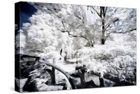 White Nature - In the Style of Oil Painting-Philippe Hugonnard-Stretched Canvas