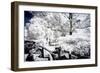 White Nature - In the Style of Oil Painting-Philippe Hugonnard-Framed Giclee Print