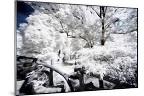 White Nature - In the Style of Oil Painting-Philippe Hugonnard-Mounted Giclee Print