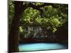 White Oak above Blue Spring, Ozark National Scenic Riverways, Missouri, USA-Charles Gurche-Mounted Premium Photographic Print