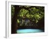 White Oak above Blue Spring, Ozark National Scenic Riverways, Missouri, USA-Charles Gurche-Framed Photographic Print