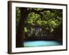 White Oak above Blue Spring, Ozark National Scenic Riverways, Missouri, USA-Charles Gurche-Framed Photographic Print