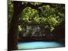 White Oak above Blue Spring, Ozark National Scenic Riverways, Missouri, USA-Charles Gurche-Mounted Photographic Print