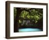 White Oak above Blue Spring, Ozark National Scenic Riverways, Missouri, USA-Charles Gurche-Framed Photographic Print