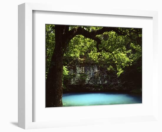 White Oak above Blue Spring, Ozark National Scenic Riverways, Missouri, USA-Charles Gurche-Framed Photographic Print